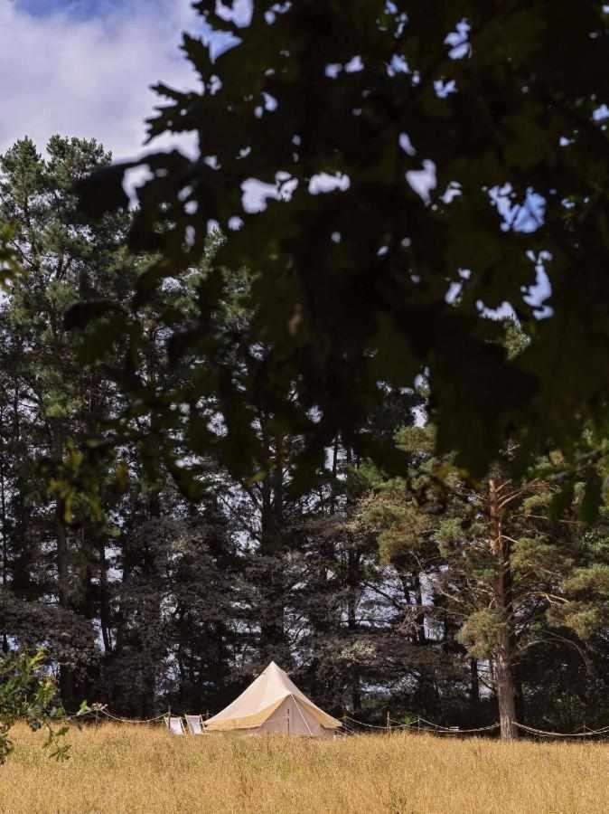 A Leira 116 Cabanas De Diseno ساريا المظهر الخارجي الصورة